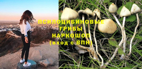 Альфа ПВП Белоозёрский