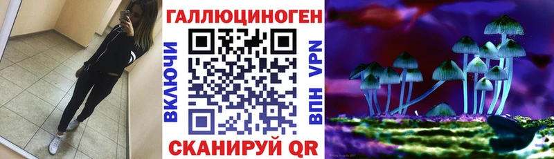 Псилоцибиновые грибы Psilocybine cubensis  продажа наркотиков  Волосово 